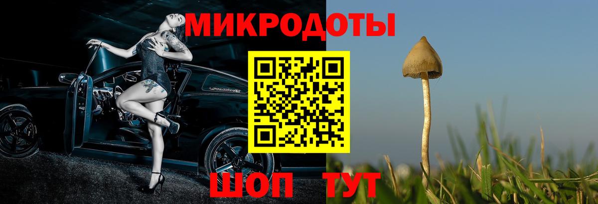 Лобня  Псилоцибиновые грибы Cubensis  Вход с VPN  Галлюциногенные грибы Psilocybine cubensis 
